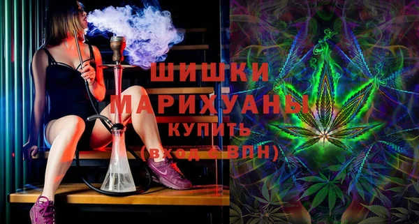прущие грибы Бородино