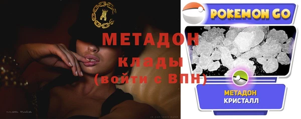 прущие грибы Бородино