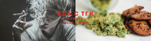 прущие грибы Бородино