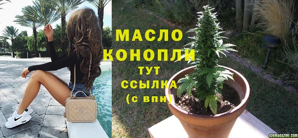 прущие грибы Бородино